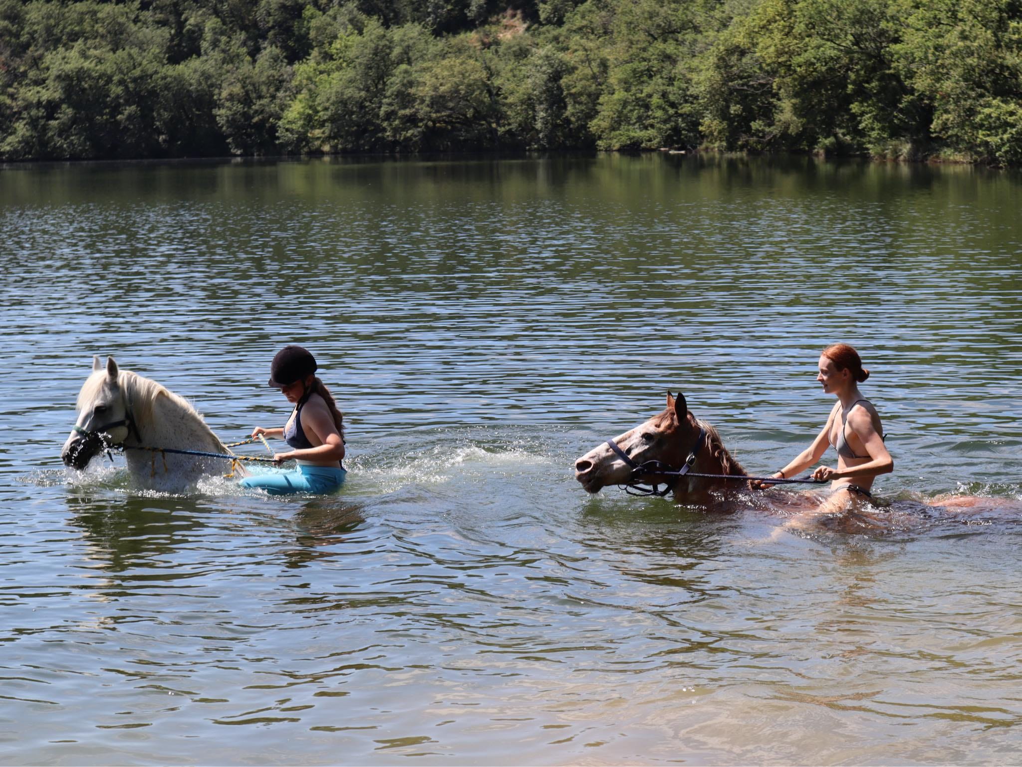 Stagiaires et chevaux se baignant dans le lac