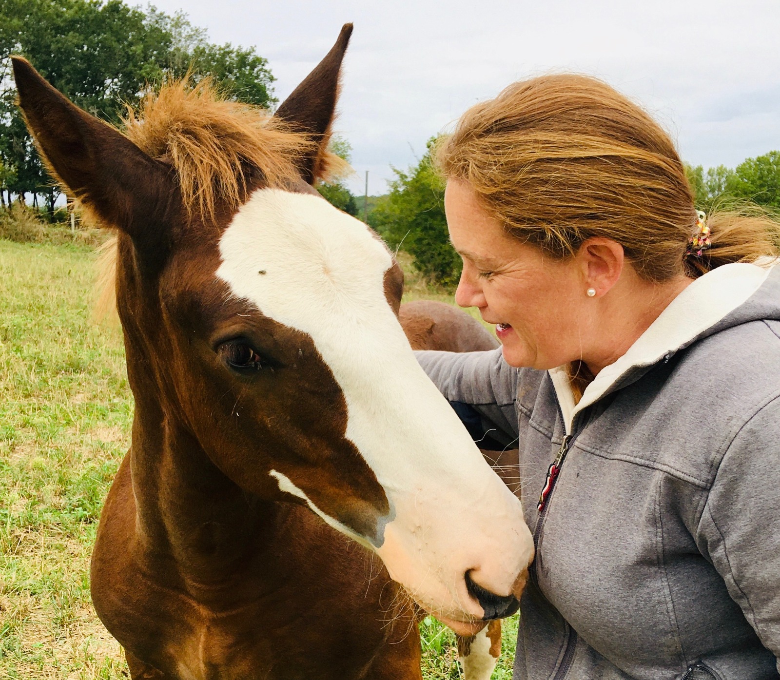 Complicité entre une cavalière et un cheval de l'écurie